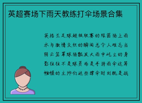 英超赛场下雨天教练打伞场景合集