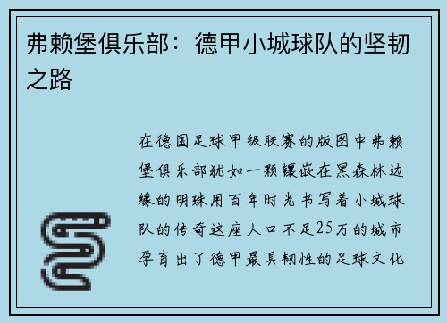 弗赖堡俱乐部：德甲小城球队的坚韧之路